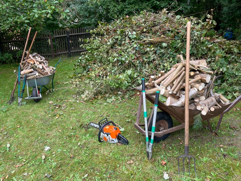 Wood Debris Removal